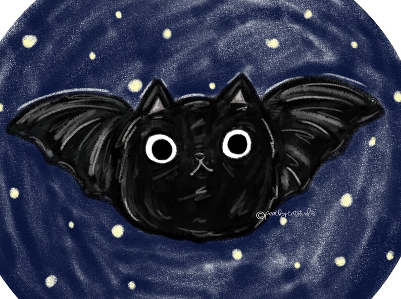 May include: A black cat with bat wings flying against a dark blue starry night background.