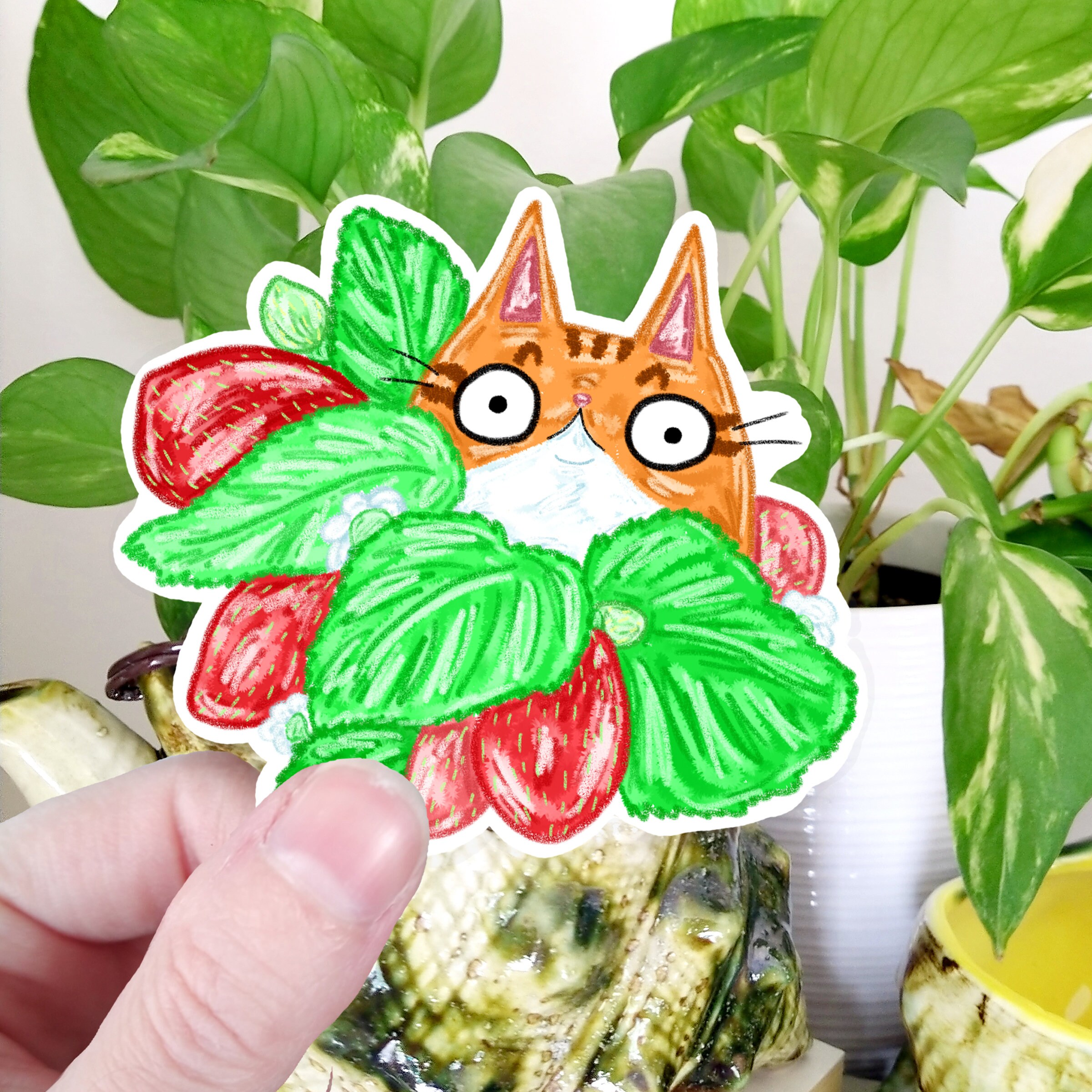 Strawberry Cat Sticker - Etsy