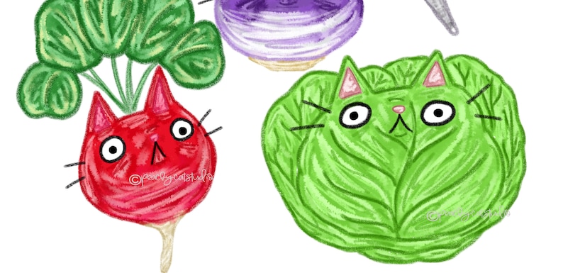 May include: A red radish with green leaves and a cat face, a green cabbage with a cat face, and a purple turnip.