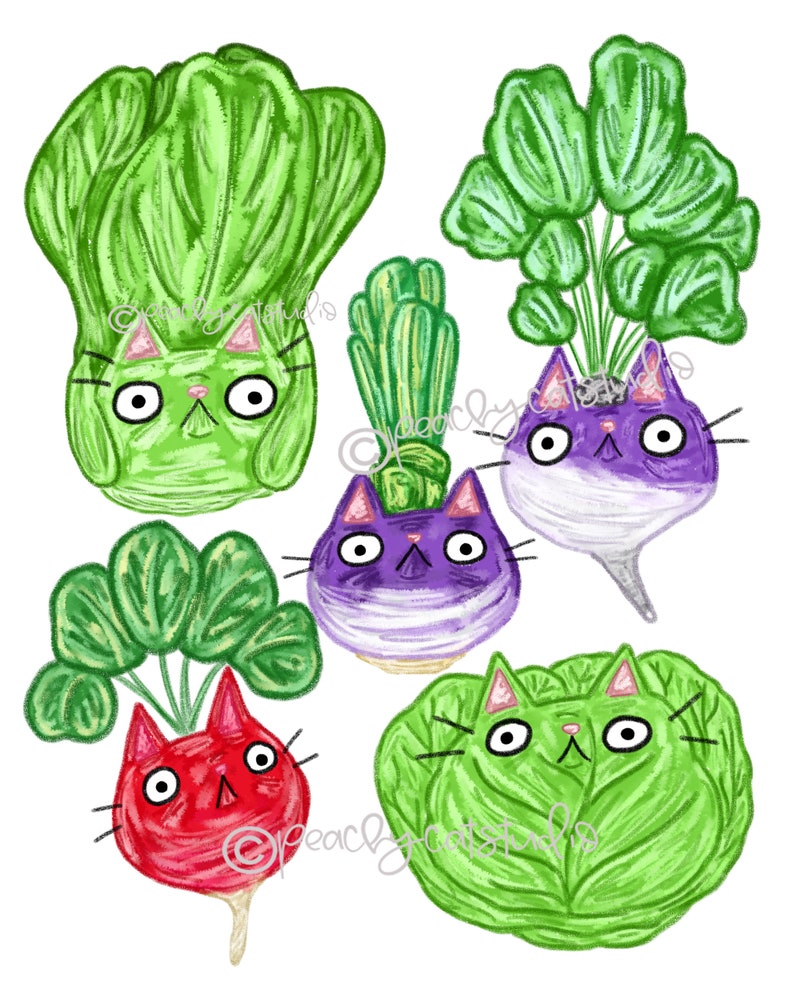 May include: Five cartoon cats are depicted as vegetables. One is a green cabbage, one is a red radish, two are purple turnips, and one is a green bok choy. The cats have black whiskers and white eyes.