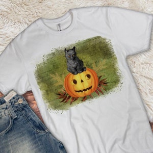 Cat with Jack O Lantern- Digital Design for Sublimation
