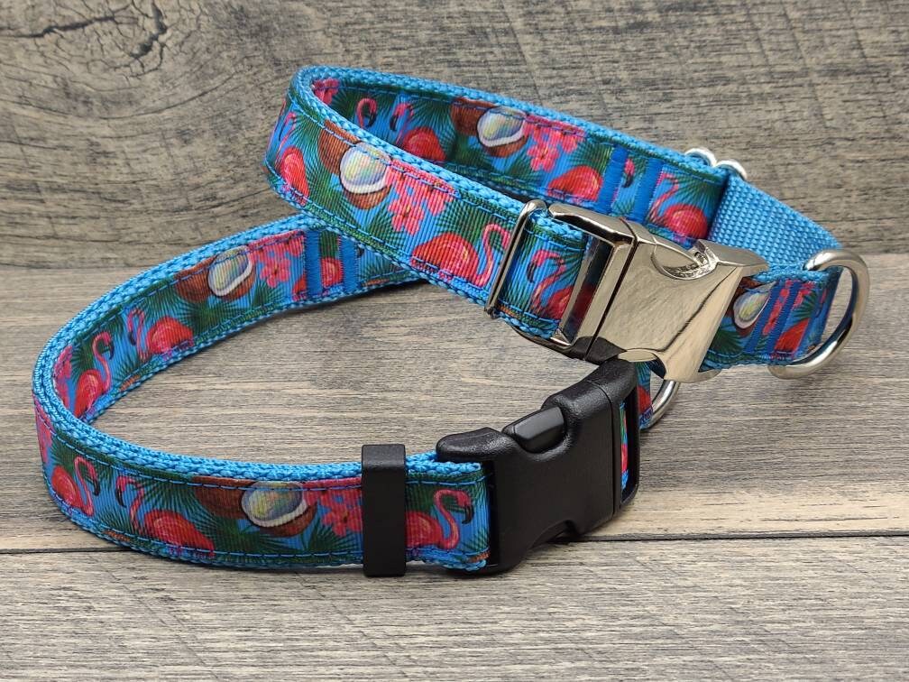 beach dog collars