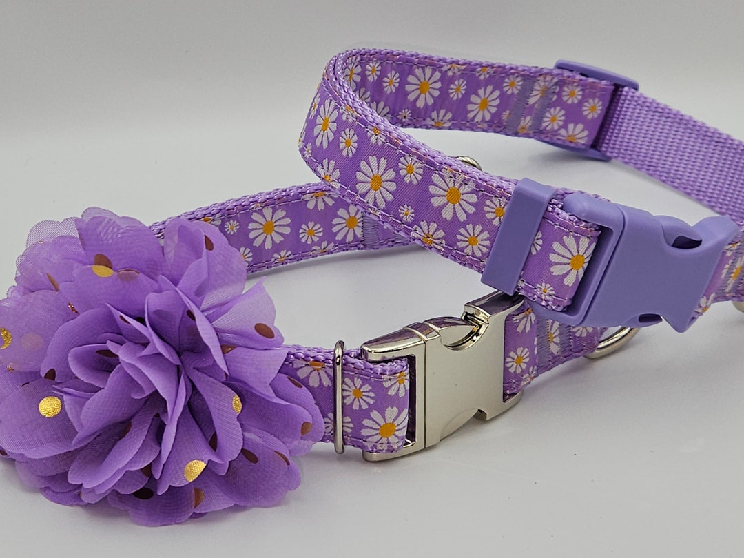 Purple Daisy Dog Collar With Flower & Leash Option Available Etsy