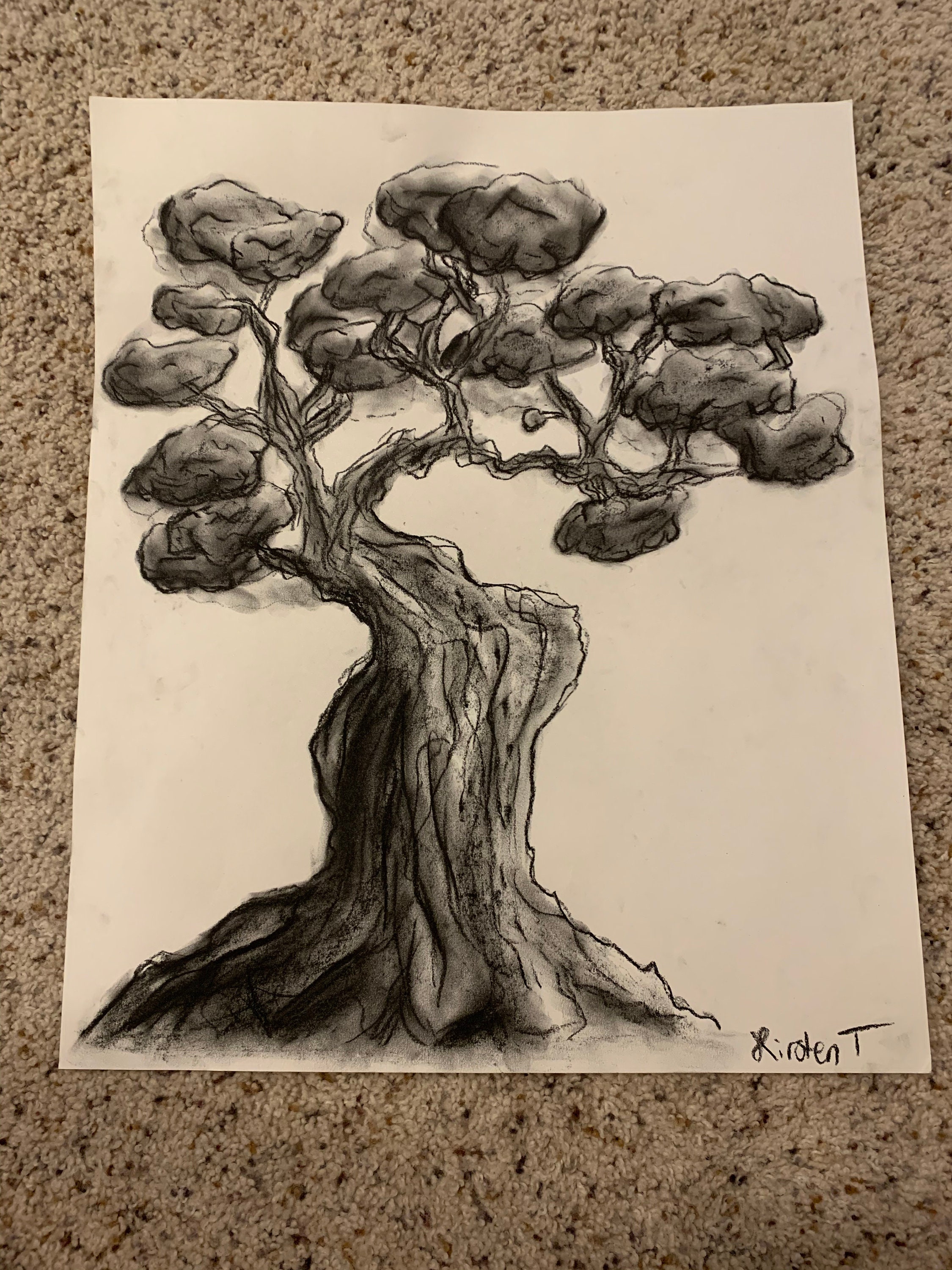 Art Grey Scale Charcoal Tree Sketch - Etsy