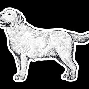 Labrador Retriever Sketch Sticker