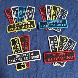 May include: A collection of colorful embroidered iron-on patches with humorous sayings. The patches feature black, white, red, yellow, and blue thread. The patches read "I survived free hugs", "I survived yadi paddles", "I survived caramelldansen", and "I survived glomping".