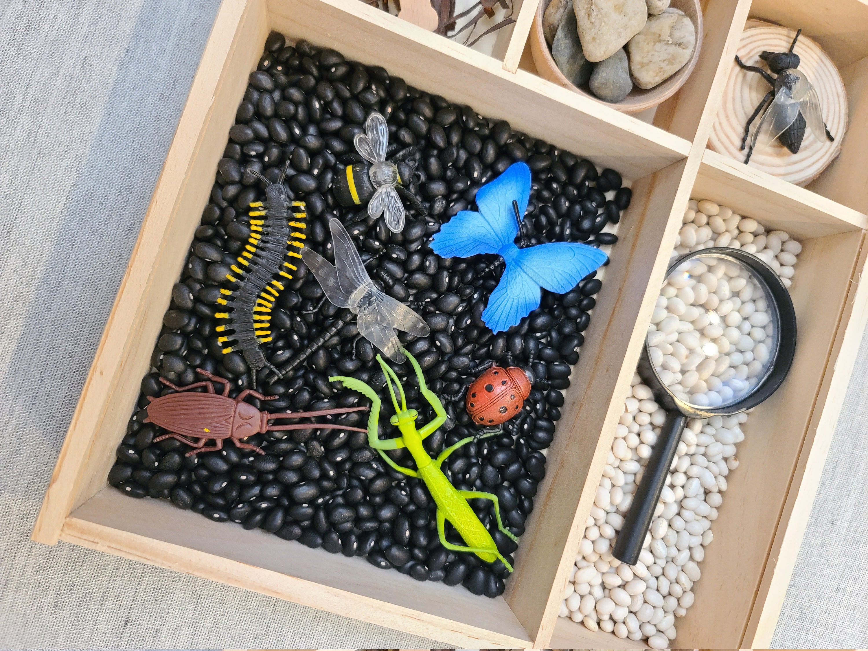 Sensory Bin Activity Set Bugs Nature Montessori Reggio Etsy