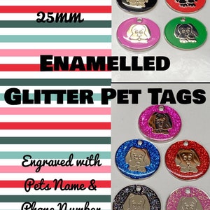 Enamelled pet/I.D tags