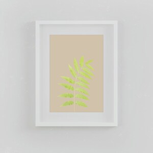 Botanical,flower photography, printable Art Decor, download, flower Wall Art, Floral Still Life Photography