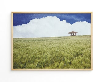 green barley field, digital photography , south korea, wall art, fine art photography, printable wall art.
