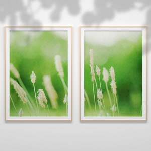 set of 2, Botanical,flower photography, printable Art Decor, download, flower Wall Art, Floral Still Life Photography