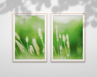 set of 2, Botanical,flower photography, printable Art Decor, download, flower Wall Art, Floral Still Life Photography