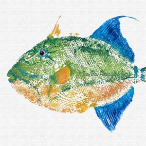 Triggerfish &#39;Queen&#39; - Gyotaku Fish Rubbing - Digital Art - Fine Art Print 13&quot;x19&quot;