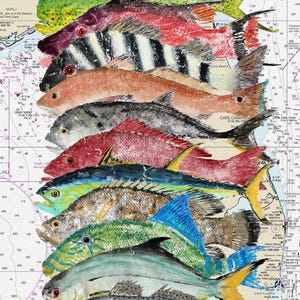 Salty Catch - Gyotaku Fish Rubbing - Digital Art - Archival Print 13&quot;x19&quot;