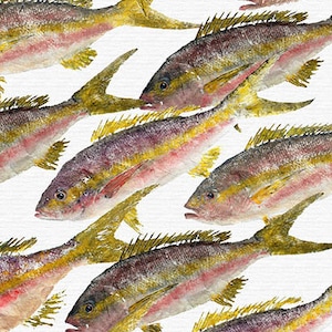 Yellowtail School - Gyotaku Fish Rubbing - Coastal Decor -  Fine Art Print 13&quot;x19&quot;