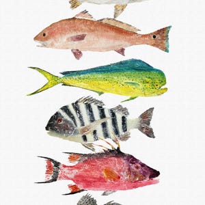 Salty Six - Gyotaku Fish Rubbing - Digital Art - Archival Print 13&quot;x19&quot;