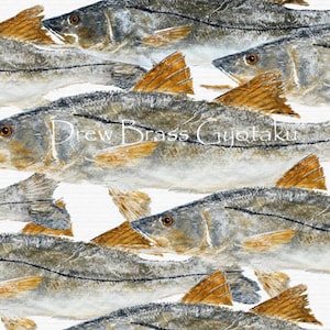 Snook - In Shore Slam - Gyotaku Fish Rubbings - Digital Art - Fine Art Print 13&quot;x19&quot;