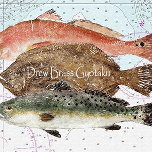 Inshore Grand Slam Nautical Map - Gyotaku Fish Rubbings - Digital Art - Fine Art Print 13"x19"