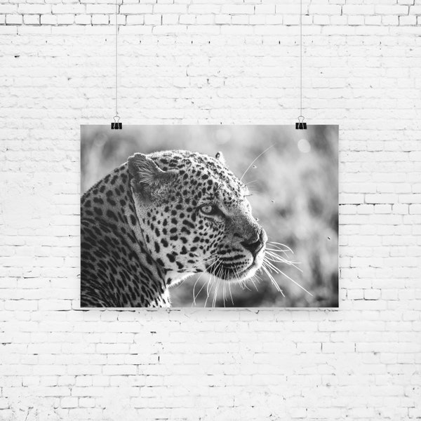Leopard Digital Print | Leopard Wall Decor | Animal Print | Kenya Printable | Travel Wall Art | Instant Download | Big Cat Print | Wildcat