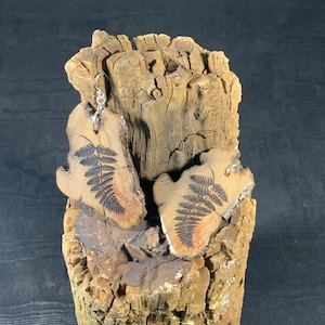 Könnte beinhalten: Ein Paar Holzohrringe mit einem Farnmuster. Die Ohrringe sind braun und haben eine natürliche Holzoptik. Sie hängen an einem Stück Treibholz.