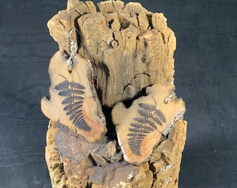 Varen natuurlijke Manzanita hout oorbellen