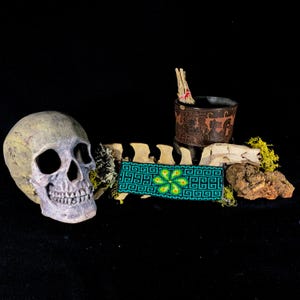 Pulsera de cuentas checas - Sabiduría del peyote / Pulsera Hikuri Chaquira / Arte del peyote