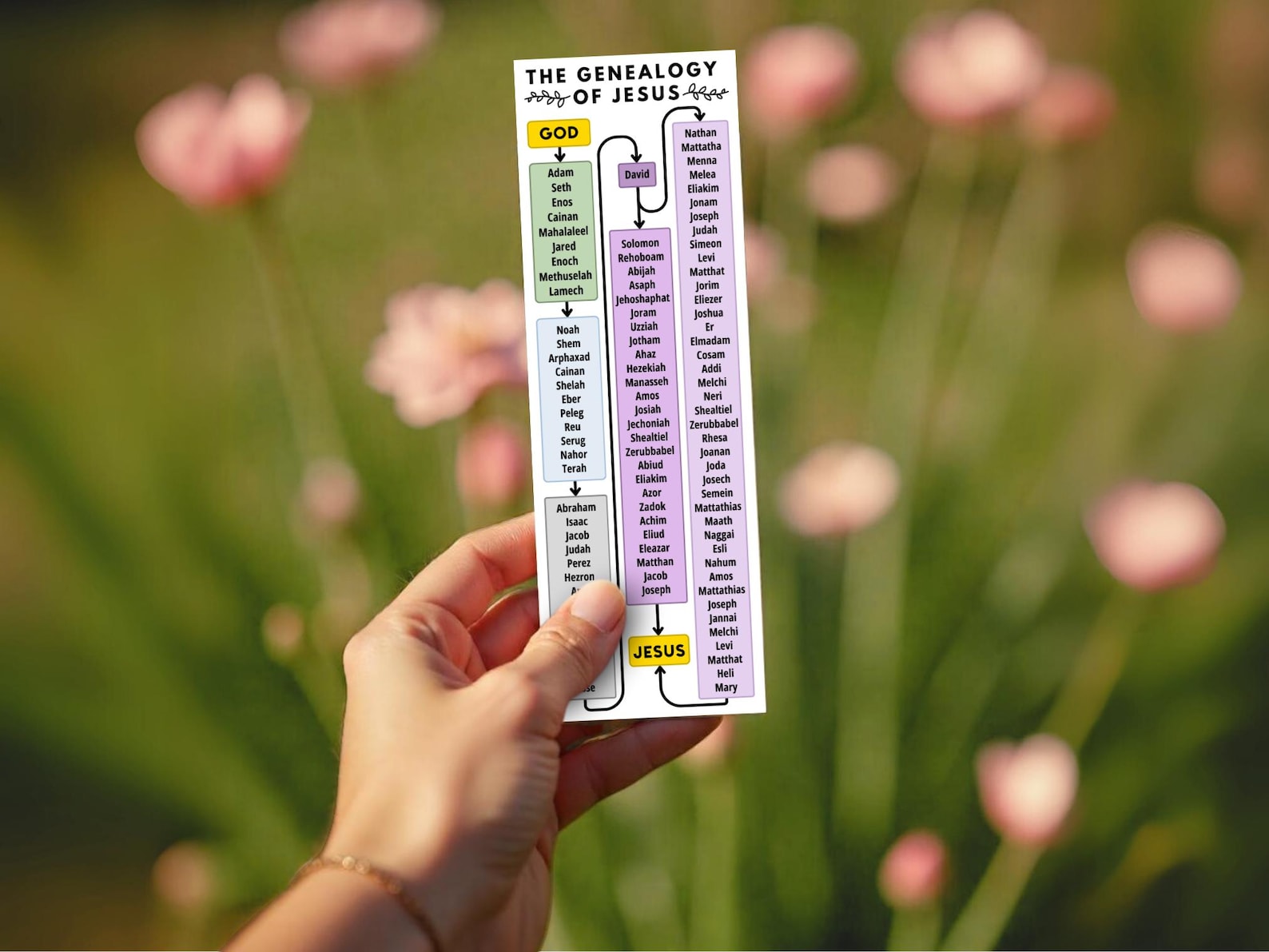 Genealogy of Jesus Kit Instant Download, Easy to Read Genealogy of