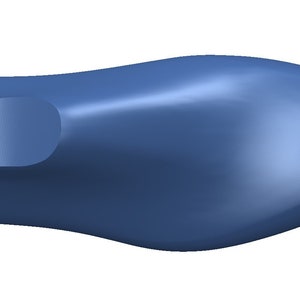May include: A blue shoe last, a form used in shoemaking to create the shape of a shoe.