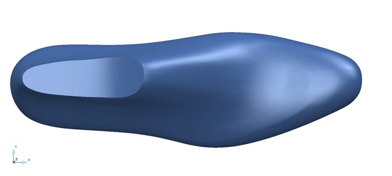 May include: A blue shoe last, a form used in shoemaking to create the shape of a shoe.
