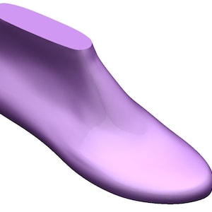 digital 3d model  shoe  last   ballerina  smart toe