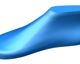 May include: A blue plastic shoe last, used for making shoes.