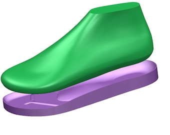 digital 3d project ergonomic shoe last orthotic sole model any  size