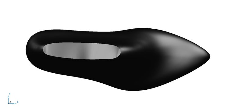 May include: A black leather pointed-toe women's shoe.