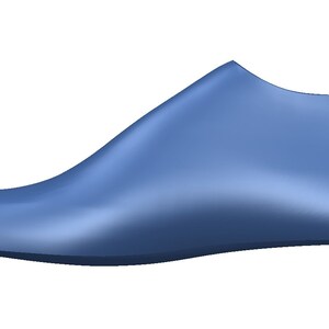 May include: A blue shoe last, a form used by shoemakers to create shoes.