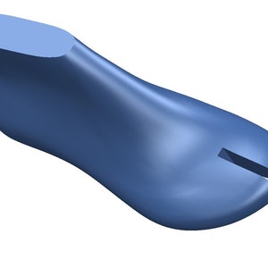 digital 3d model anatomical  sandal shoe last