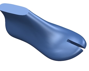 digital 3d model anatomical  sandal shoe last