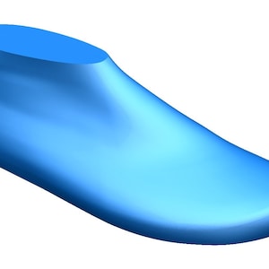 digital 3d model  shoe  last  flat barefoot