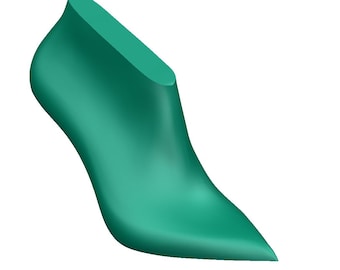 digital 3d model of the pointed toe high heel  woman shoe last