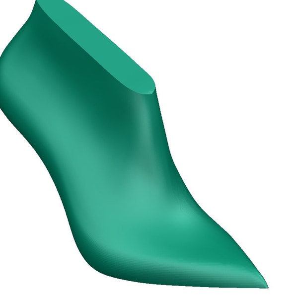 digital 3d model of the pointed toe high heel  woman shoe last