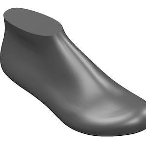 Op de afbeelding: Een grijze schoenleest, een 3D-model dat wordt gebruikt voor het maken van schoenen.