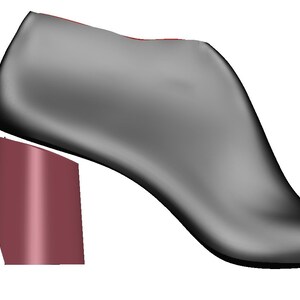 May include: A black ankle boot with a chunky burgundy heel. The boot has a pointed toe and a sleek, modern design.