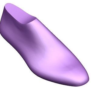 May include: A purple shoe last, a form used in shoemaking to create the shape of a shoe.