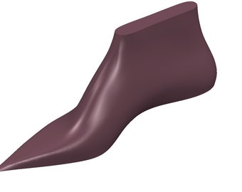 digital 3d model long pointed toe  women fashion shoe last elegant shoes two styles