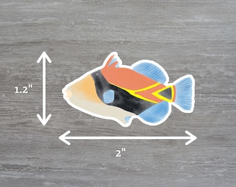 Humu fish (reef triggerfish) vinyl sticker