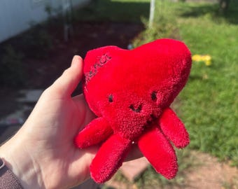 Personalized Heart Warrior Plushie with Zipper Scar – Custom CHD Awareness Gift & Scar Buddy Plush