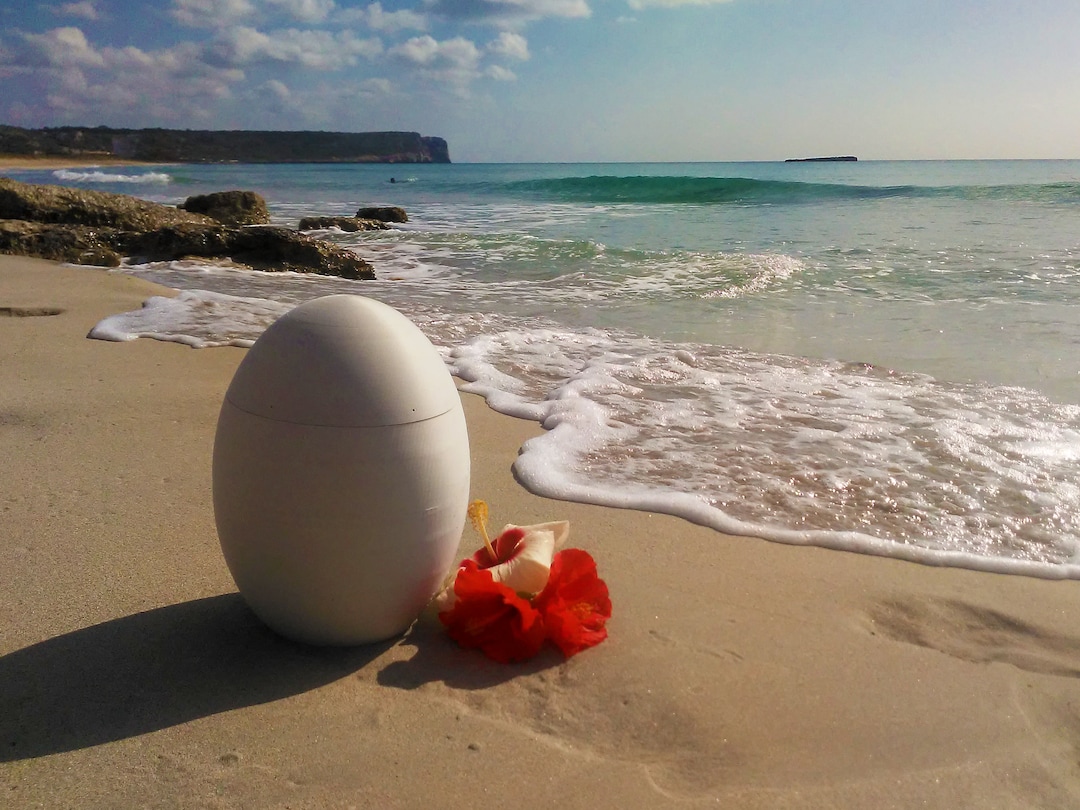 Coco Biological Urn Ecological and Ecosustainable Urns for a Burial on