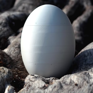 COCO urn Biodegradable and customizable for earth burial. Life continues in a little plant that grows nourished by their love.