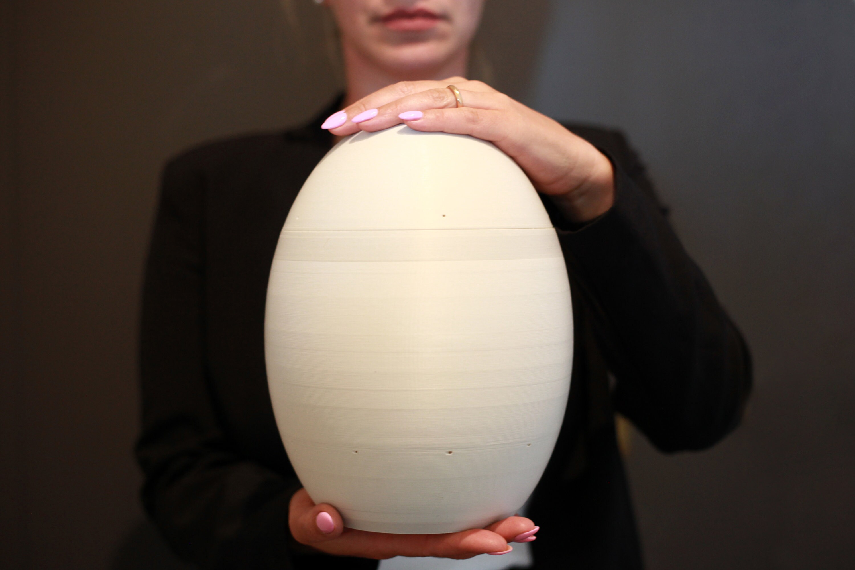 Coco Biological Urn Ecological and Ecosustainable Urns for Etsy