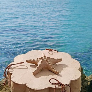 Starfish symbol on the wooden lid of a handmade SOUL SEA biodegradable urn designed for water burial