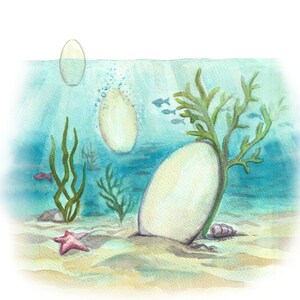 Disegno descrittivo urna Biodegradabile Coco nella sua discesa verso il blu.